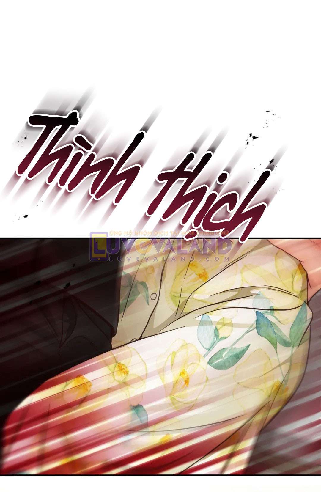 Ngôi Sao Ban Mai Chap 53 - Trang 2