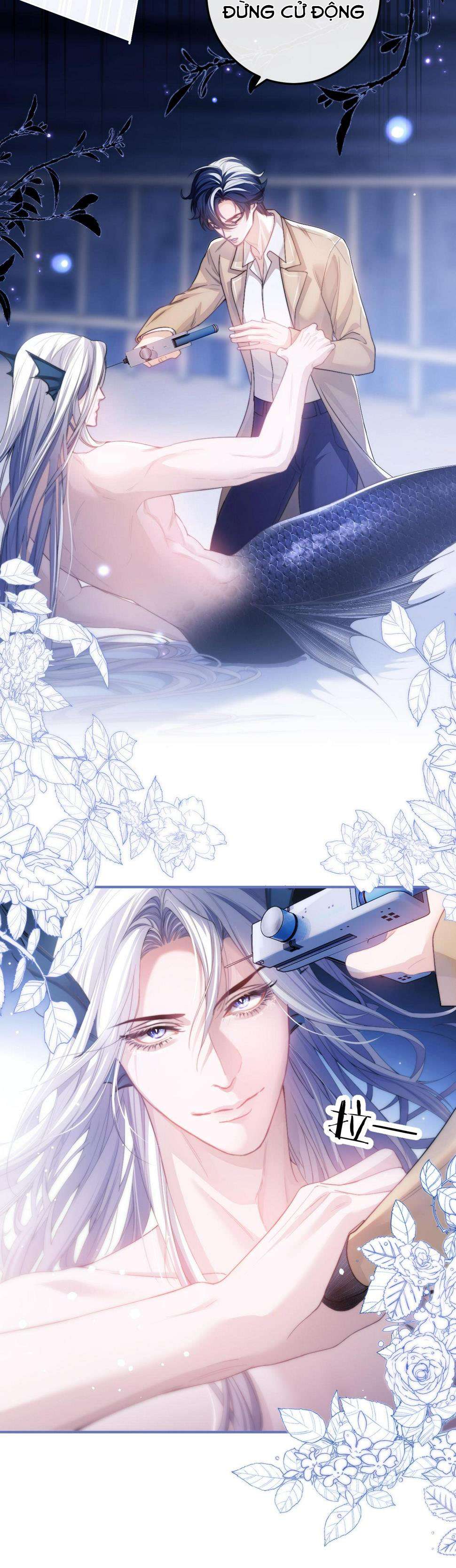 Nhân Ngư Desharow Chapter 4 - Trang 4