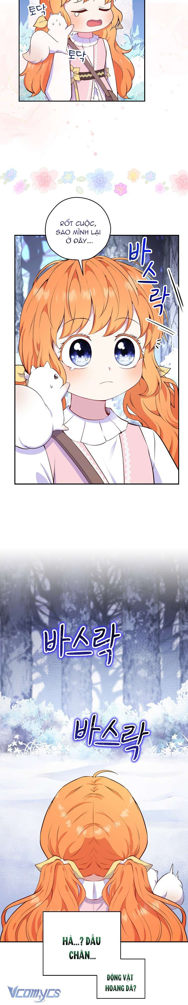 Sóc Con Tài Năng Chap 13 - Trang 2