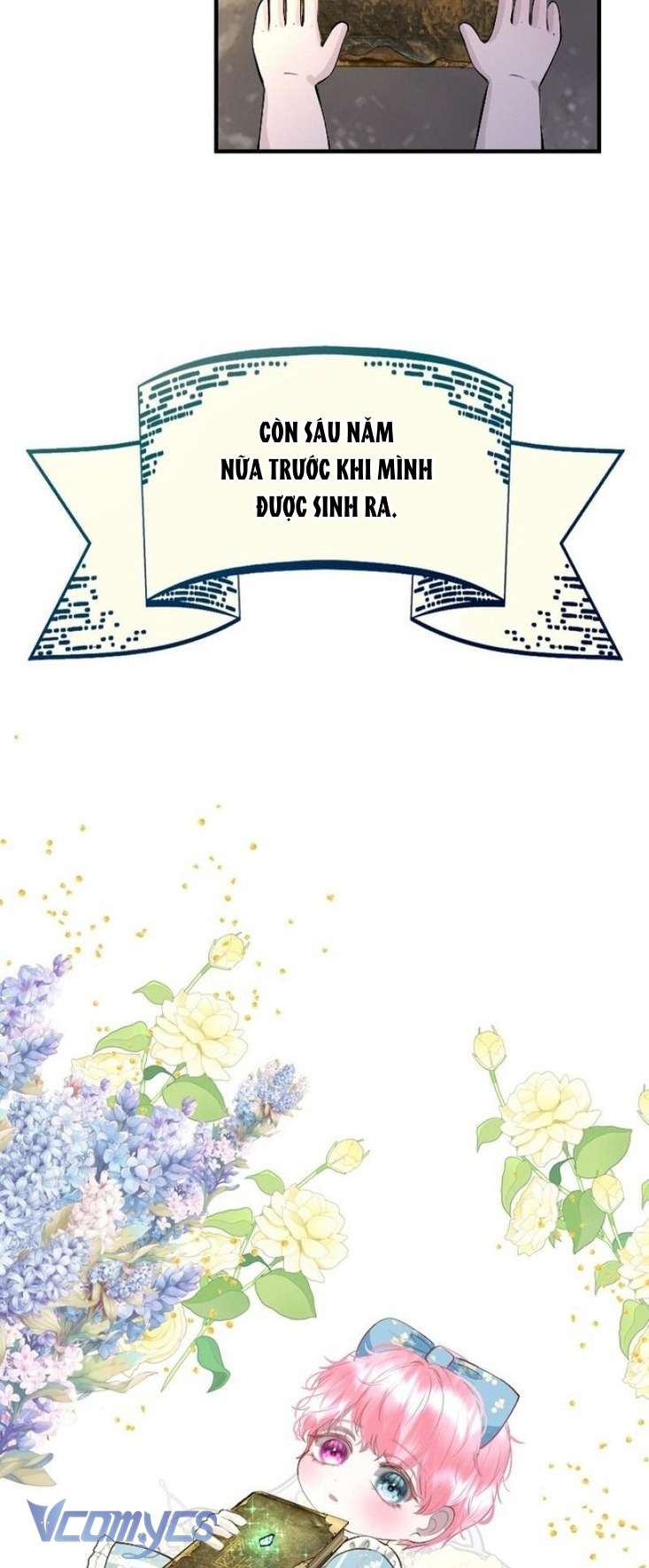 Sau Này Họ Sẽ Sinh Ra Tôi Chap 6 - Trang 2