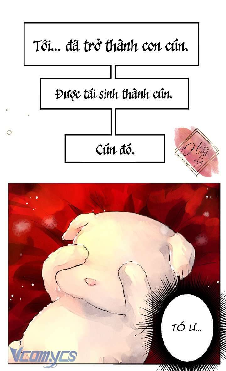 Chợ Review Nhà Họ Hoàng Chap Đế - Trang 2