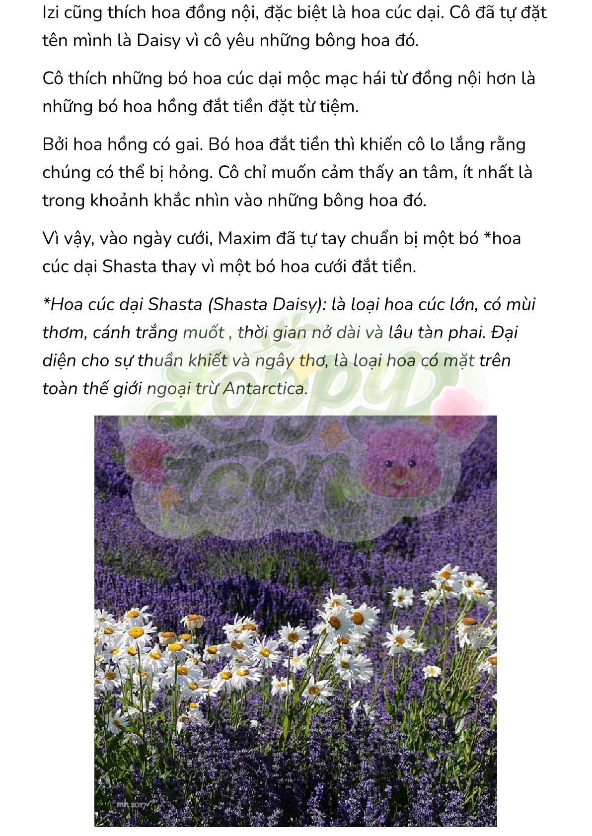 [Novel] Trận Chiến Ly Hôn! Chap 39 - Trang 2