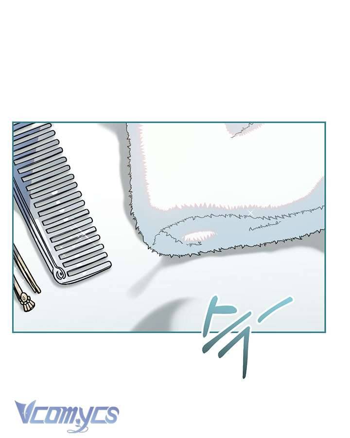 Tôi Đã Nuôi Dạy Em Gái Mình Một Cách Hoàn Hảo Chapter 5 - Trang 4