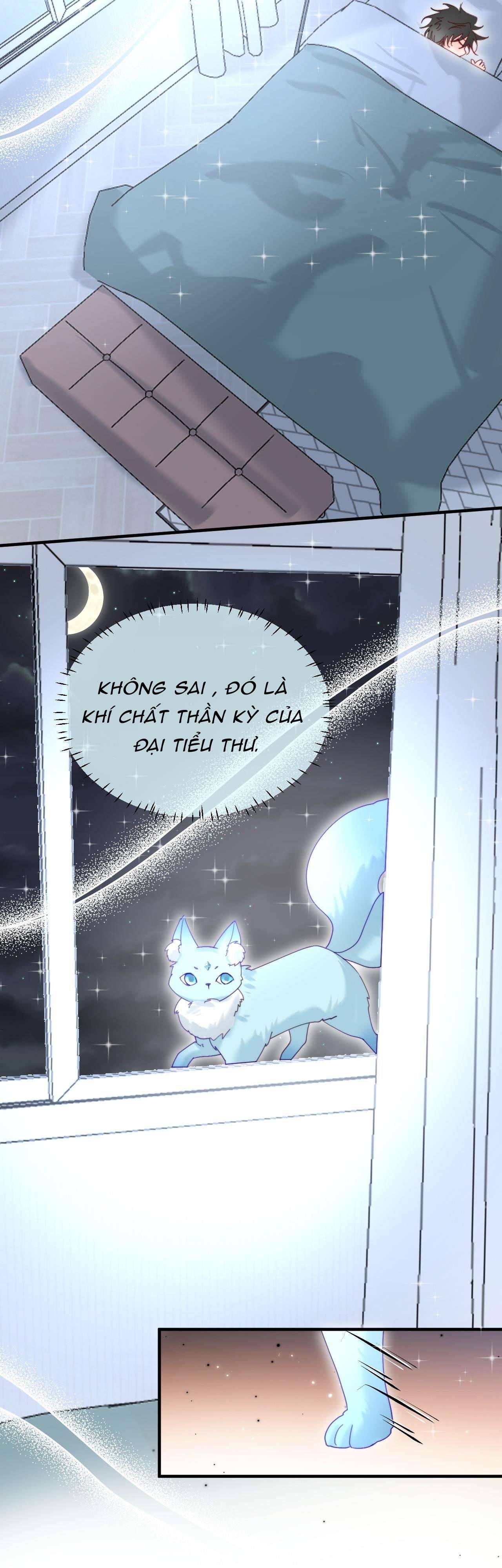 Nhặt Được Cô Phù Thủy Nhỏ Giờ Phải Làm Sao Đây? Chapter 17 - Next Chapter 18