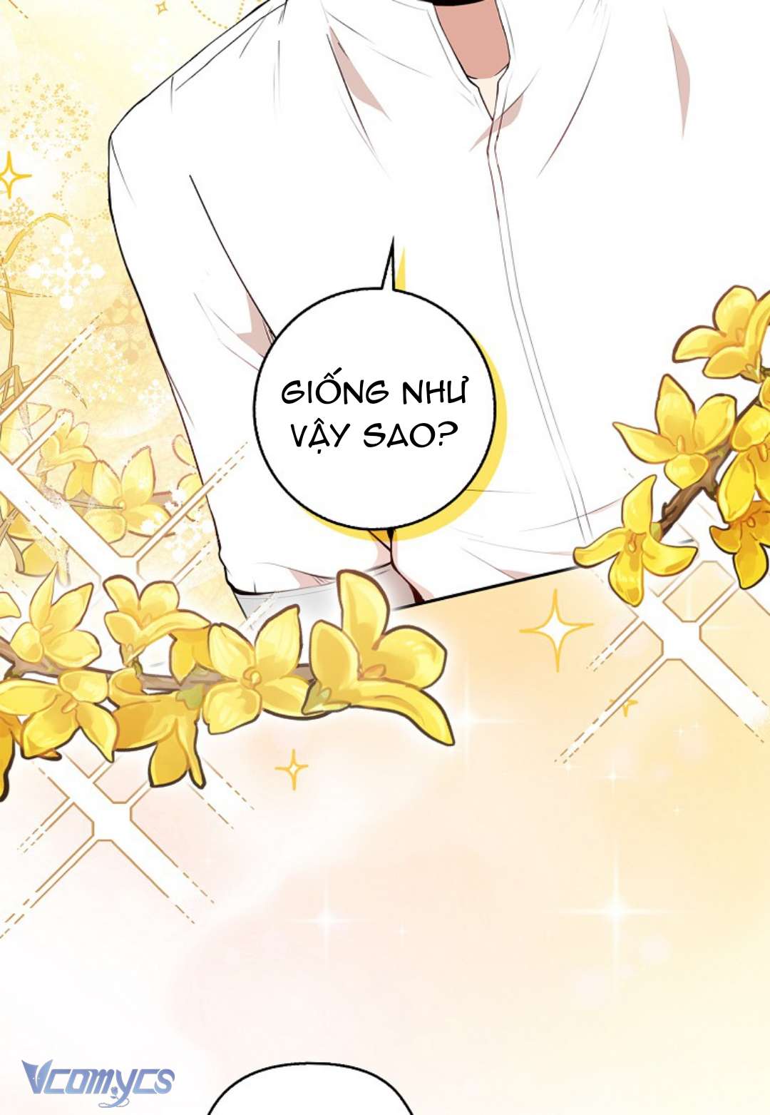 Sóc Con Tài Năng Chap 16 - Trang 2