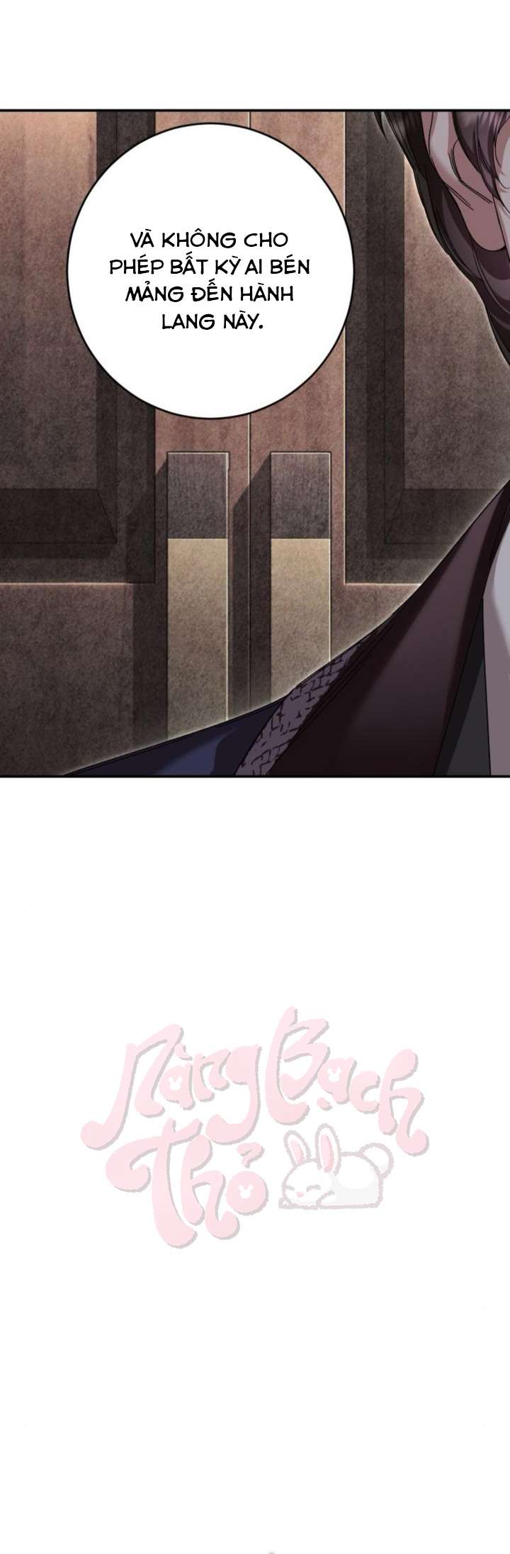 Đánh Cắp Vương Hậu Đã Quay Ngược Thời Gian Chap 8 - Trang 3