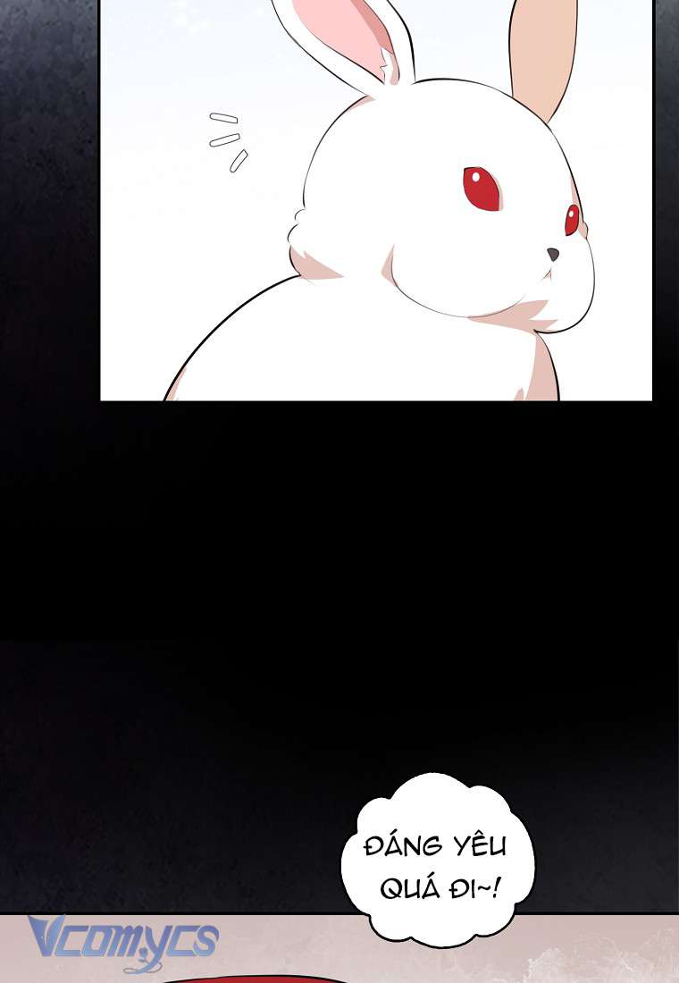 Sóc Con Tài Năng Chap 5 - Trang 2