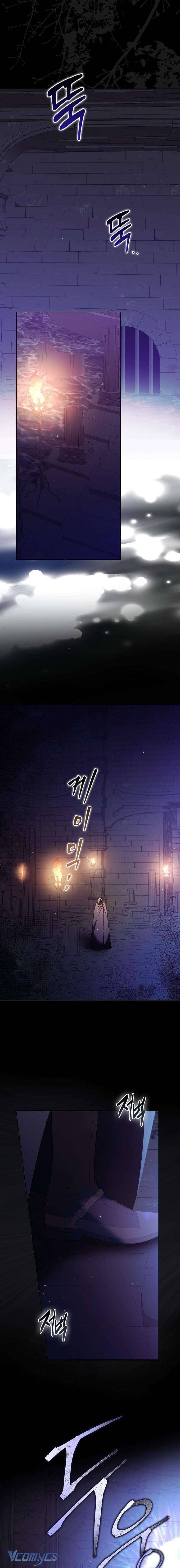 Các Nam Chính Đã Bị Nữ Phụ Cướp Mất Chap 12 - Trang 3