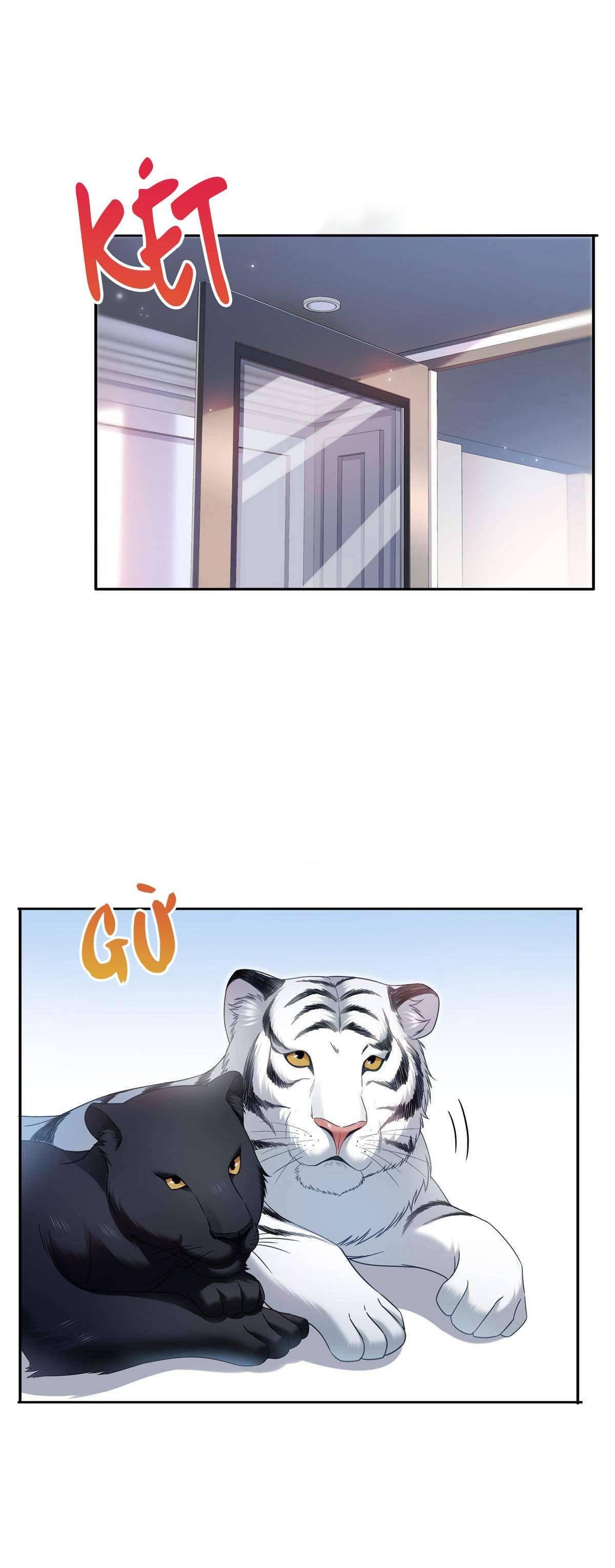 Hệt Như Hàn Quang Gặp Nắng Gắt Chap 321 - Trang 4