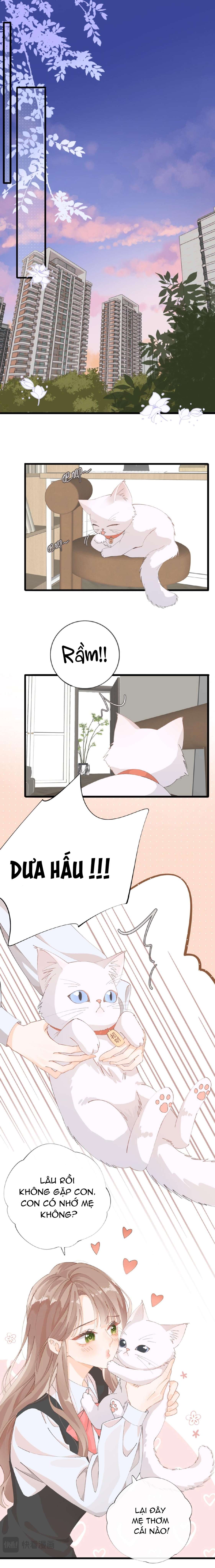 Chị Lại Gặp Rắc Rối Nữa Rồi Chapter 2 - Trang 4