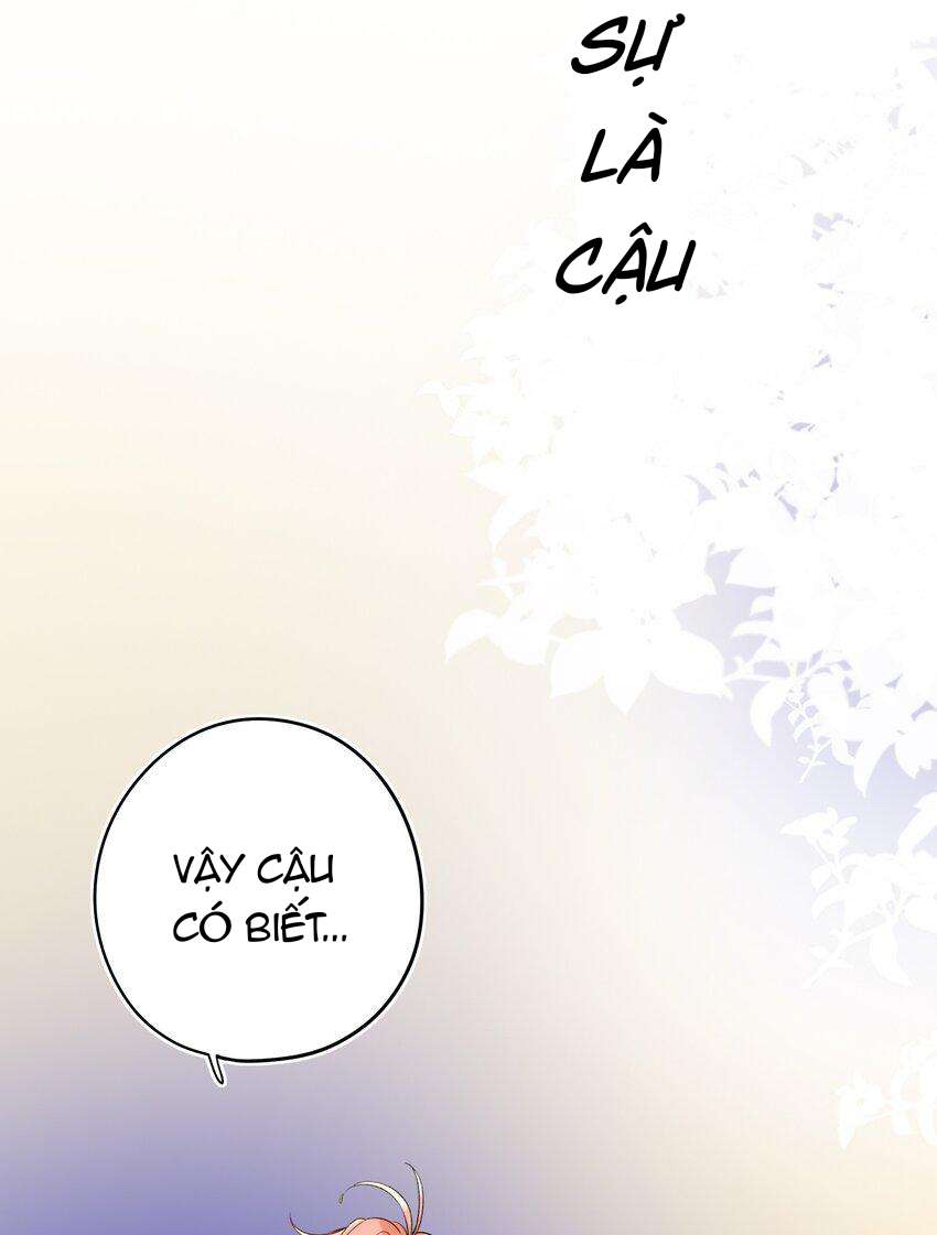 Ánh Sao Phiêu Linh Trong Nước Chapter 16 - Trang 4