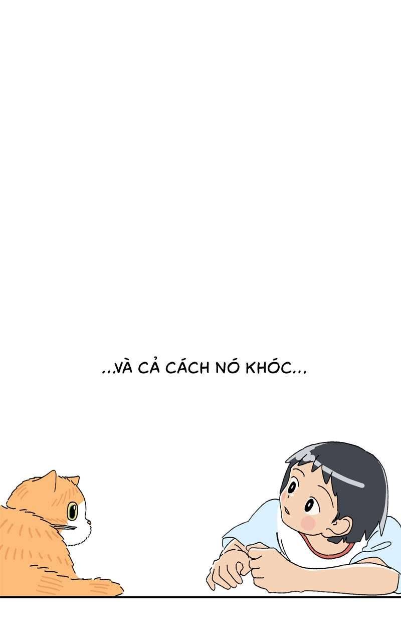 Chú Mèo Tata Chapter 3 - Trang 3