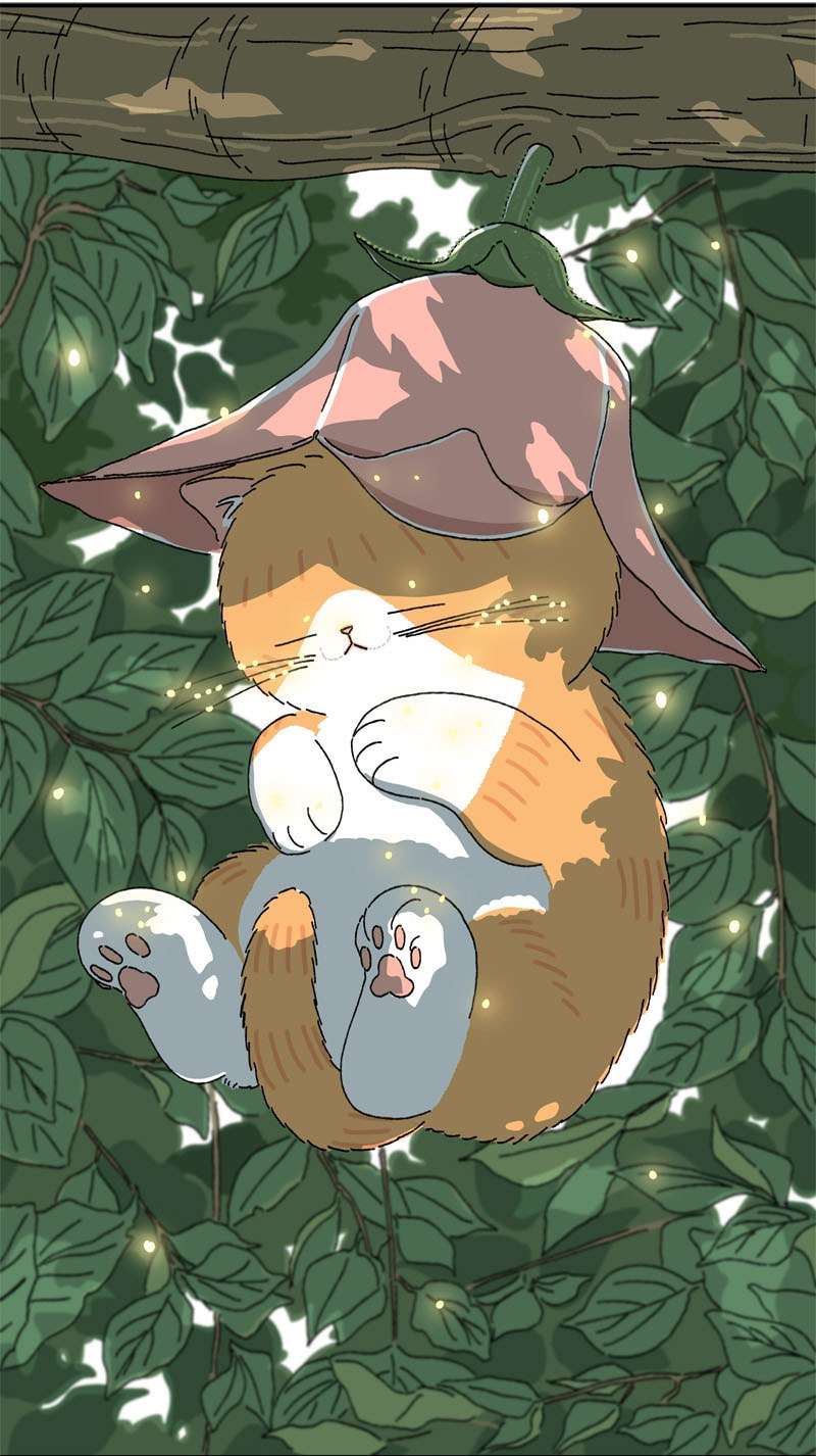 Chú Mèo Tata Chapter 1 - Next Chapter 2