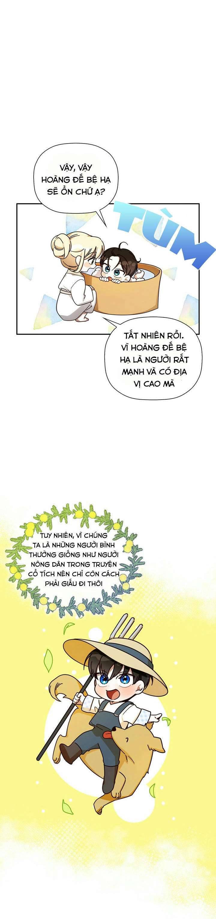 Phương Pháp Che Giấu Đứa Con Của Hoàng Đế Chapter 20 - Trang 4