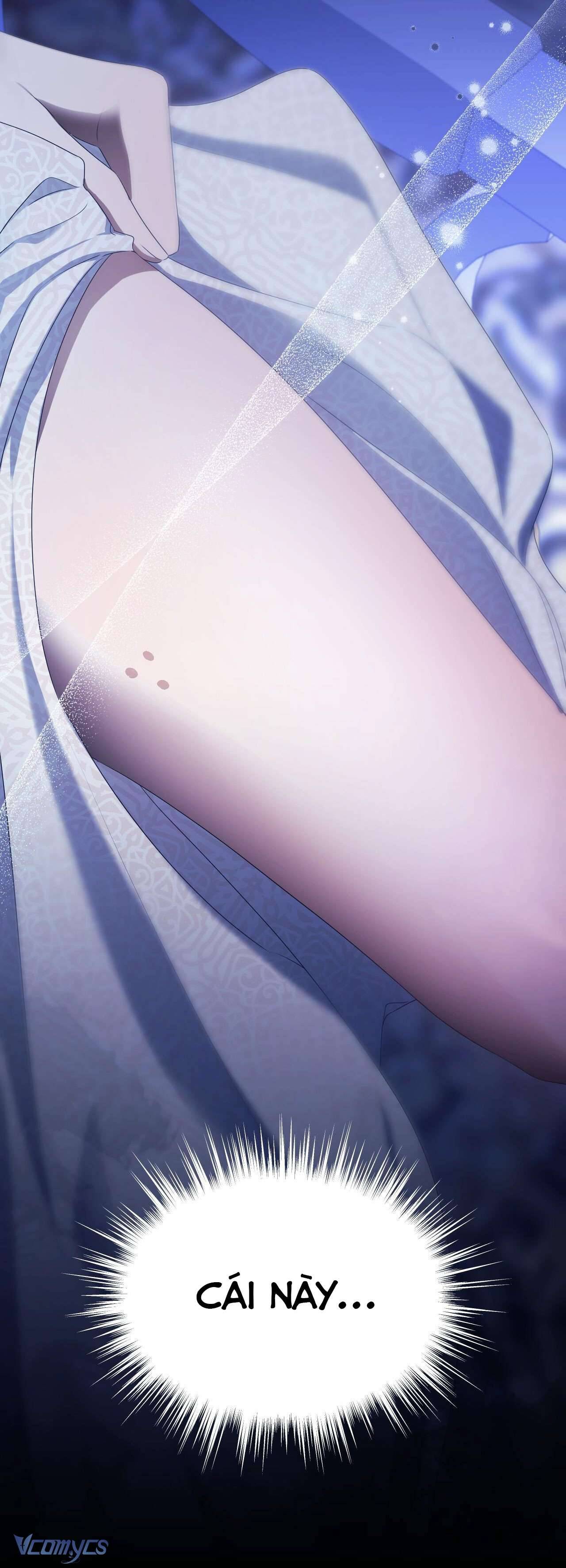 Thánh Nữ Giả Muốn Bỏ Trốn Chap 16 - Trang 4