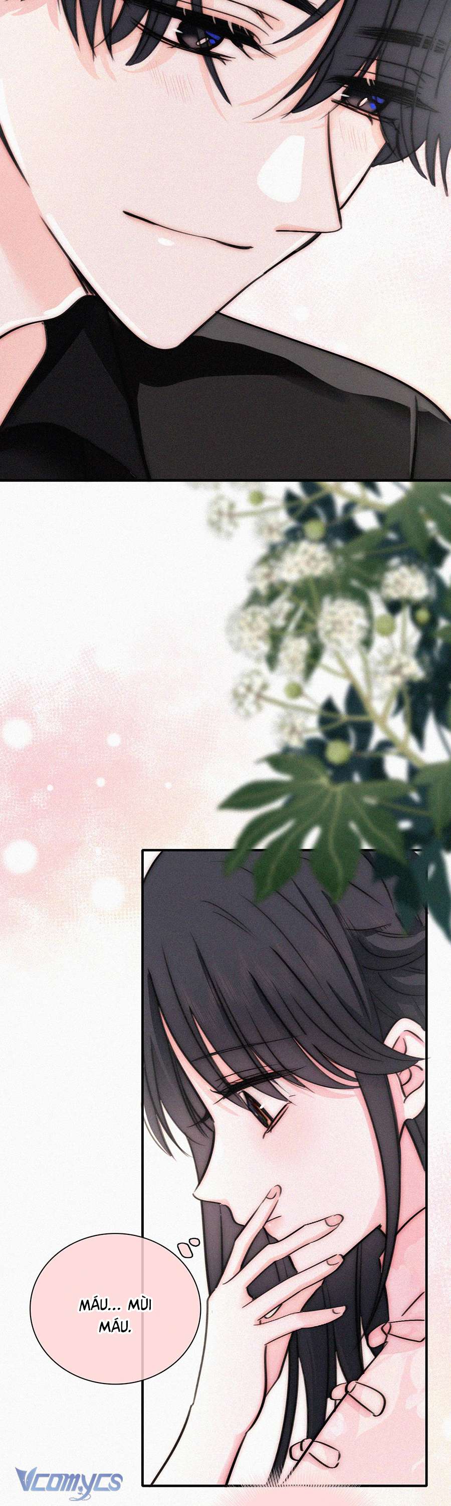 Một Mực Cưng Chiều Chap 78 - Trang 2