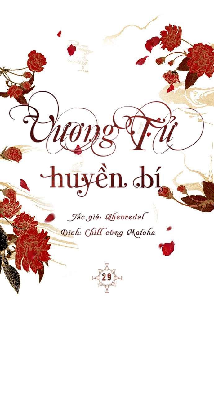 Vương Tử Huyền Bí Chapter 29 - Next Chapter 30