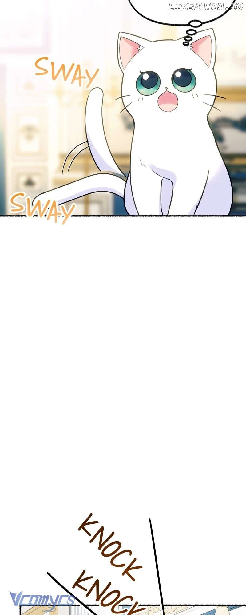 Trở Thành Chú Mèo Ngủ Cùng Bạo Chúa Chapter 3 - Trang 3