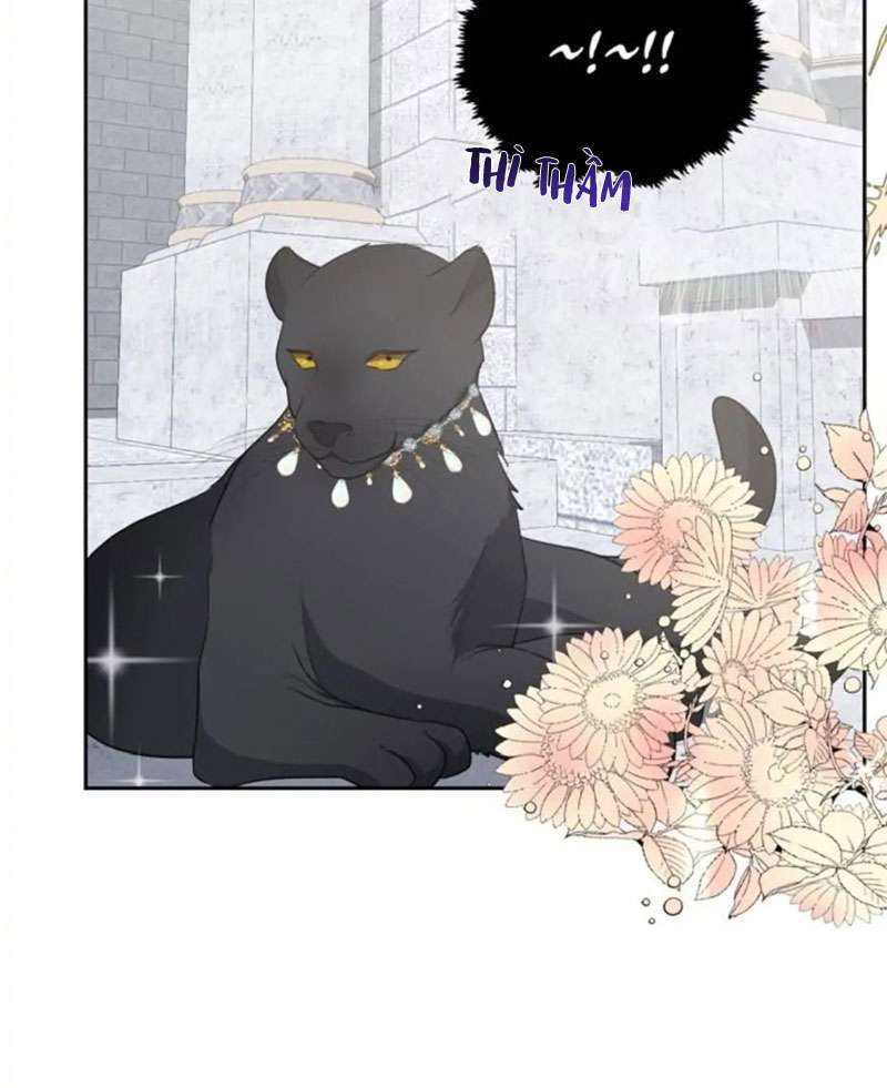 Rực Rỡ Đến Điên Cuồng Chap 1 - Next Chap 2