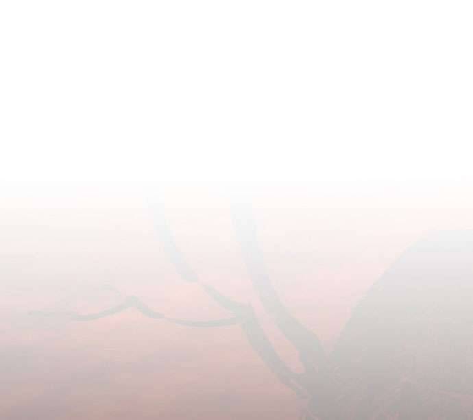 Vương Tử Huyền Bí Chapter 85 - Next Chapter 86