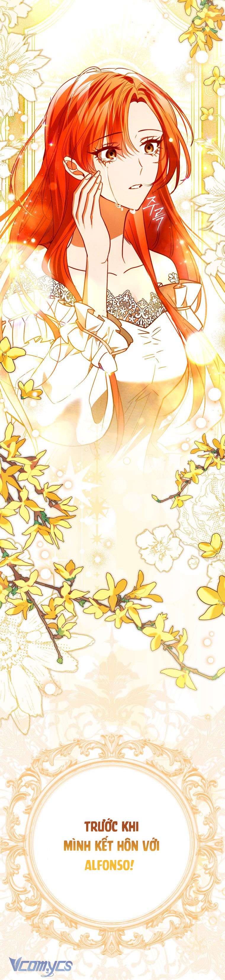 Phương Pháp Kết Thúc Cuộc Hôn Nhân Hợp Đồng Chap 2 - Trang 2