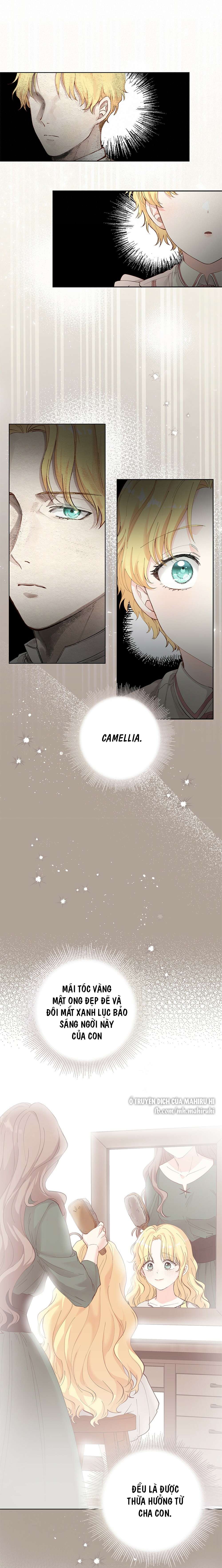Tìm Lại Camellia Chapter 3 - Trang 4