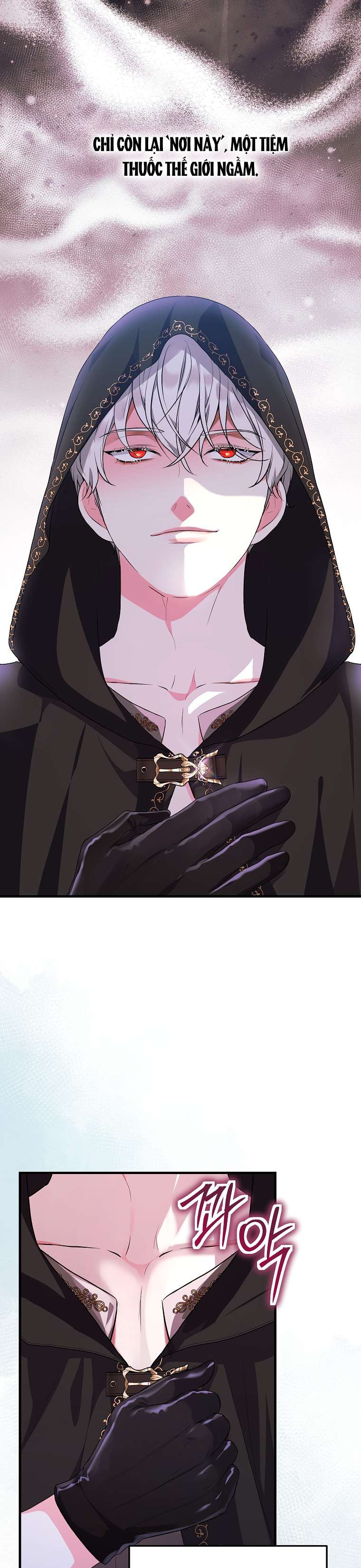 Kẻ Phản Diện Có Thời Hạn Ủng Hộ Tôi Hủy Hôn Chapter 18 - Trang 4