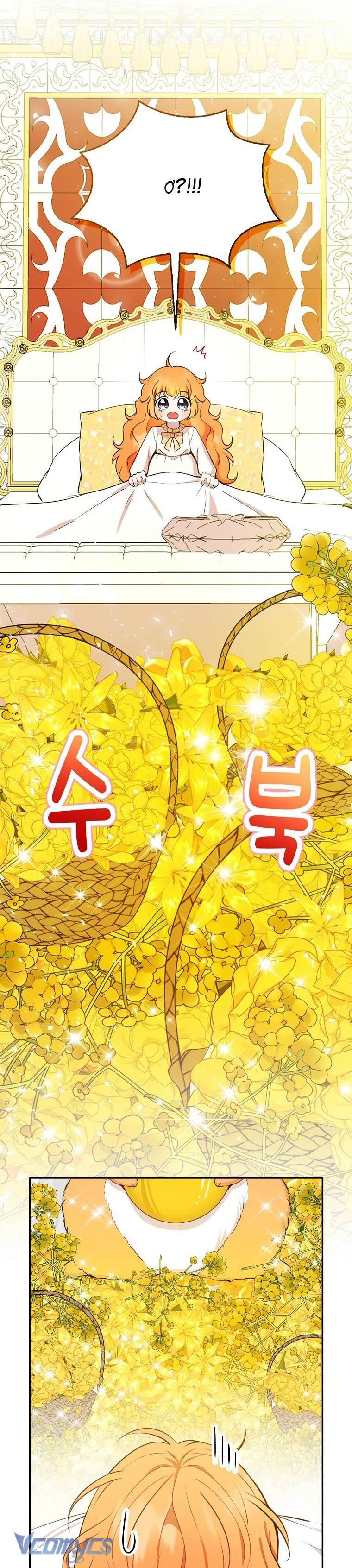 Sóc Con Tài Năng Chap 21 - Trang 2