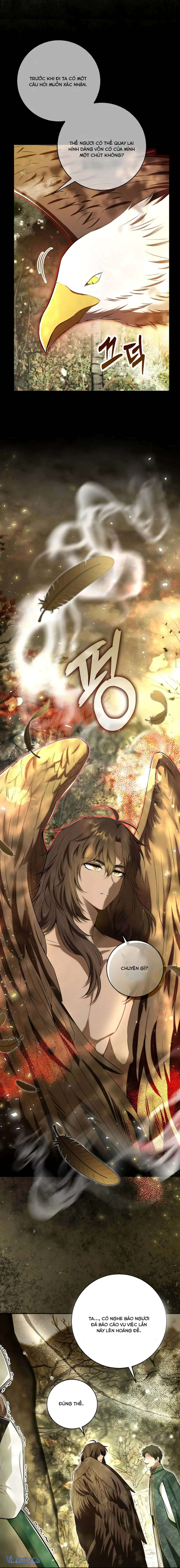 Sóc Con Tài Năng Chap 96 - Next Chap 97