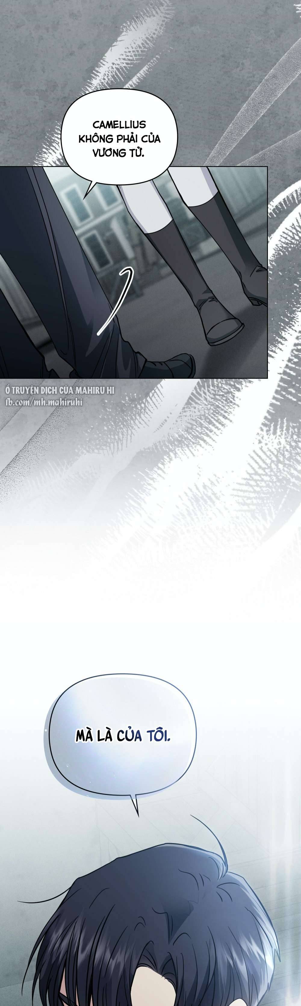 Tìm Lại Camellia Chapter 47 - Trang 4