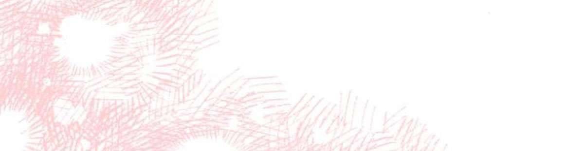 Tôi Tưởng Đó Chỉ Là Tiểu Thuyết Trọng Sinh Bình Thường Chapter 41 - Trang 4