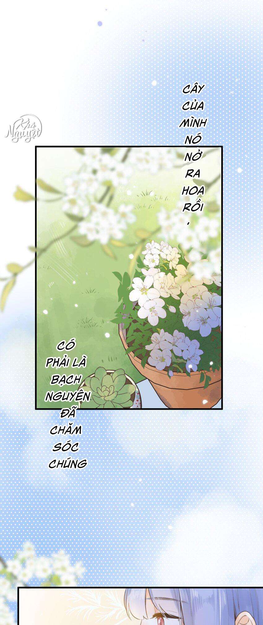 Ánh Sao Phiêu Linh Trong Nước Chap 42.1 - Next Chapter 42.1