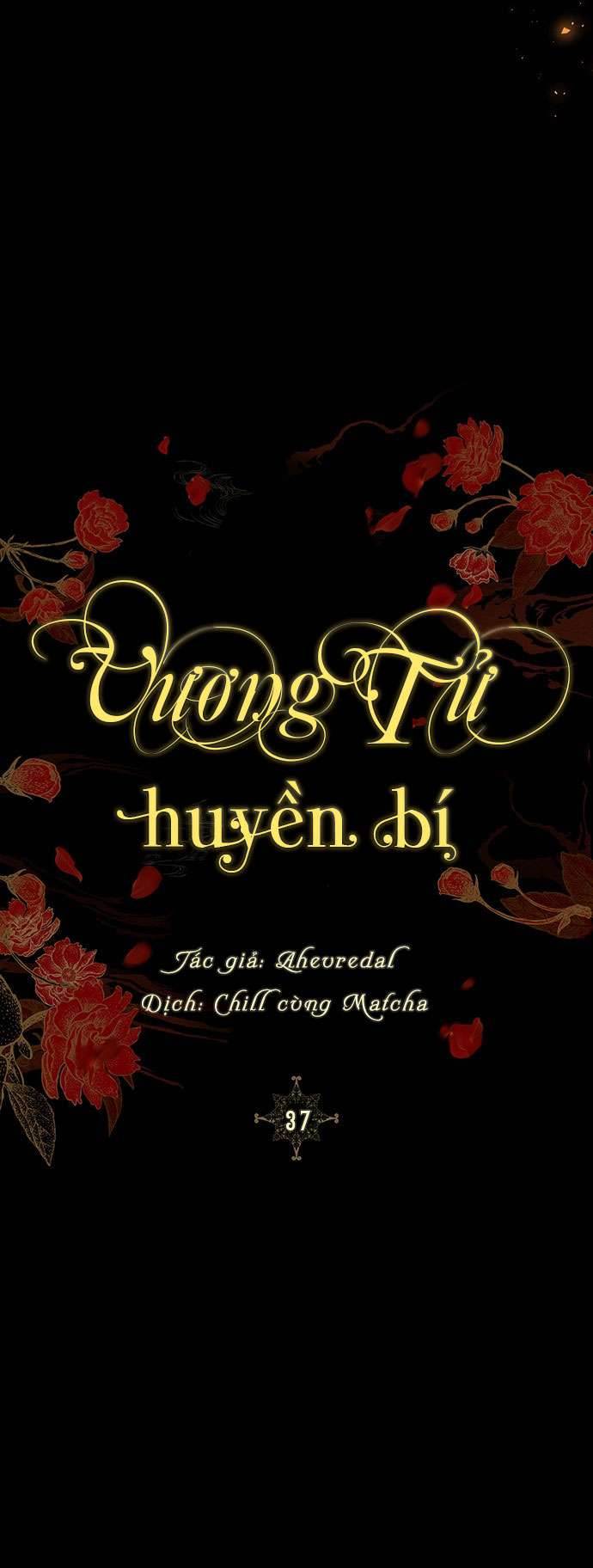 Vương Tử Huyền Bí Chapter 37 - Next Chapter 38