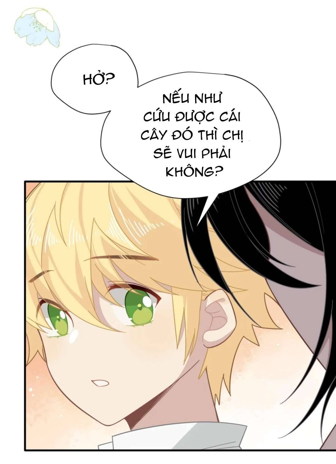 Xuyên thành phù thủy nuôi dưỡng kỵ sĩ thánh điện Chapter 13 - Trang 4