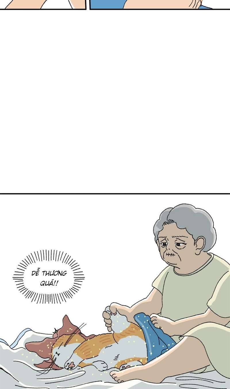 Chú Mèo Tata Chapter 2 - Trang 3