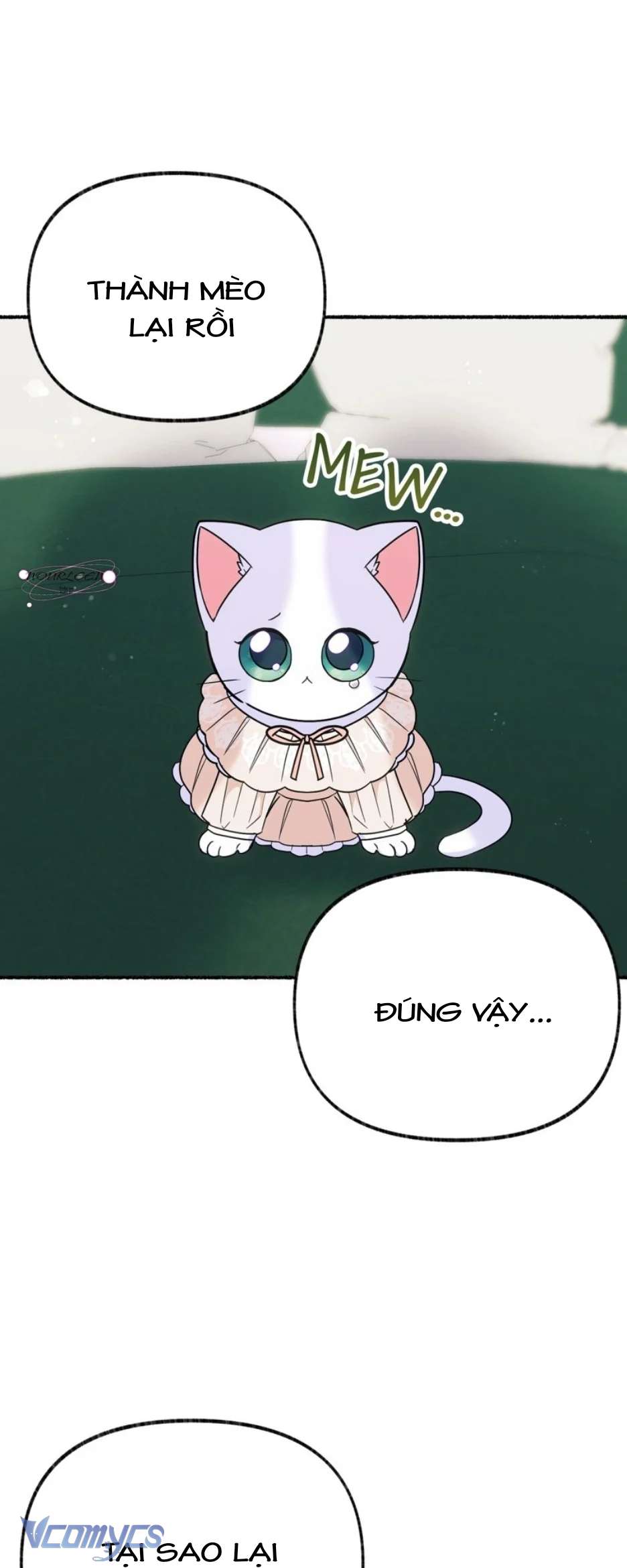 Trở Thành Chú Mèo Ngủ Cùng Bạo Chúa Chapter 18 - Trang 3