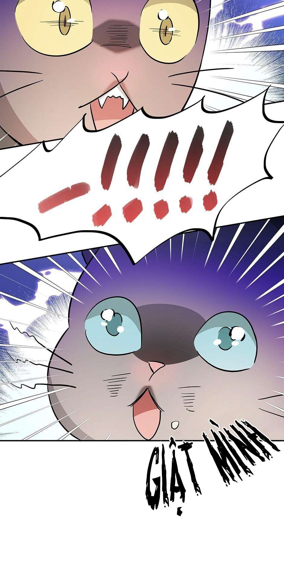 Hôn Phu Ẩn Sắc Chapter 35 - Trang 4