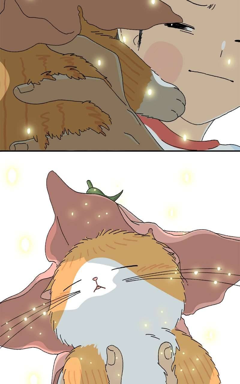 Chú Mèo Tata Chapter 2 - Trang 3