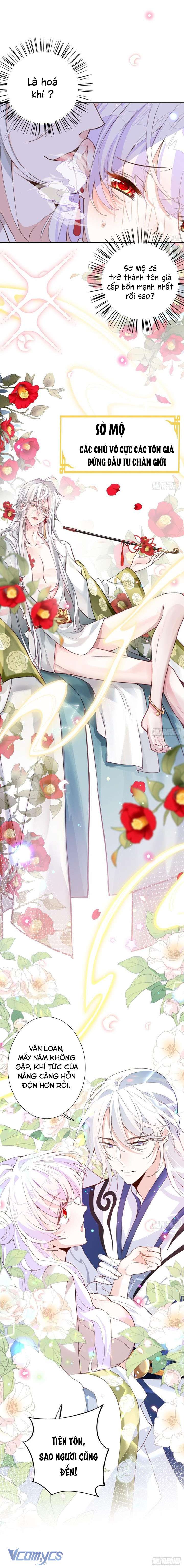 Ba Ngàn Sủng Của Hải Vương Nãi Nãi Chap 1 - Trang 2