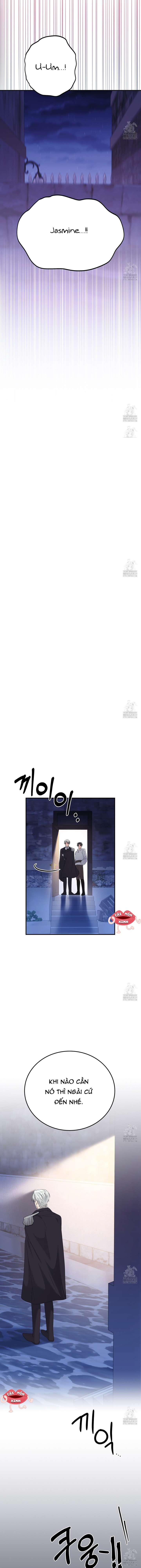 Xin Hãy Để Ý Tới Jasmine Chapter 43 - Next Chapter 44