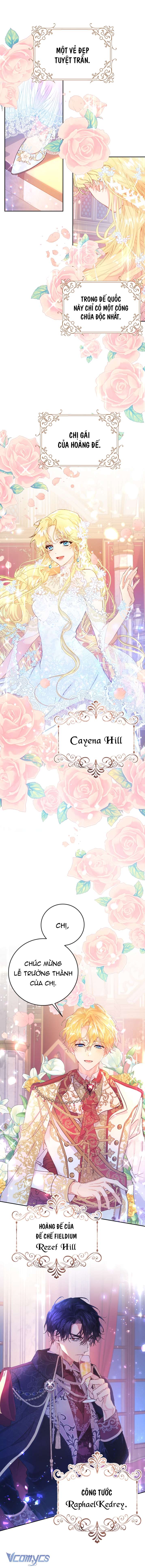 Chợ Review Nhà Họ Hoàng Chap Rối - Trang 2