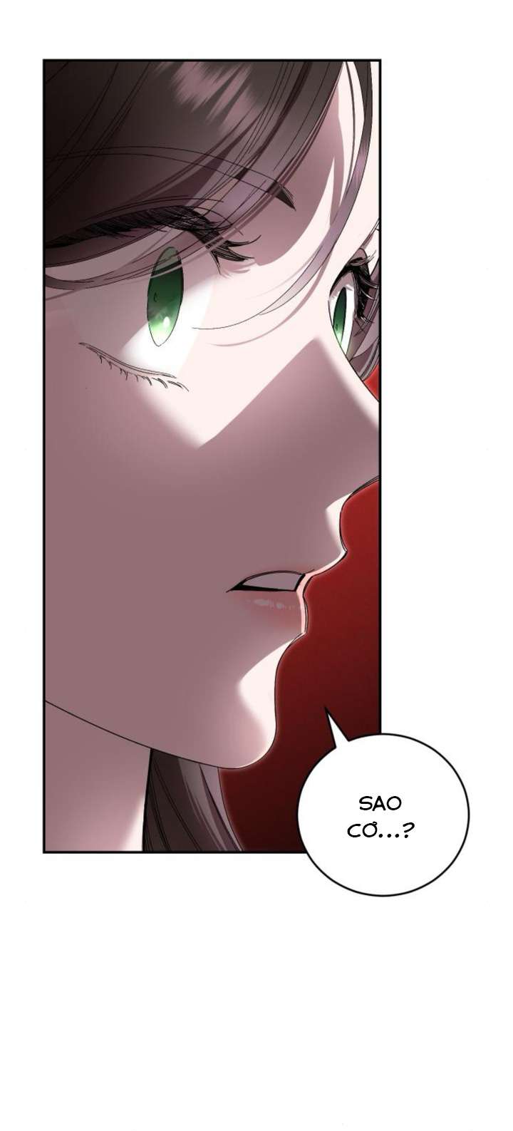 Đánh Cắp Vương Hậu Đã Quay Ngược Thời Gian Chap 8 - Trang 3