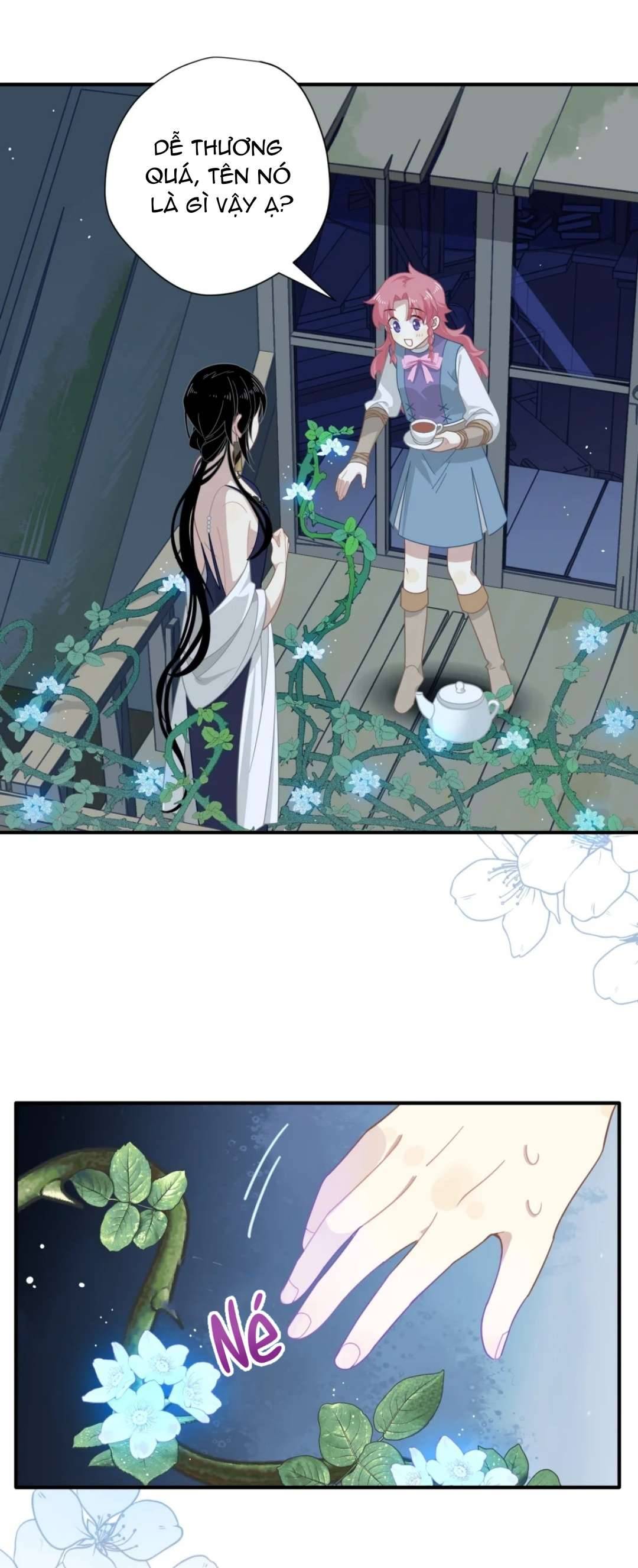 Xuyên thành phù thủy nuôi dưỡng kỵ sĩ thánh điện Chapter 13 - Trang 4