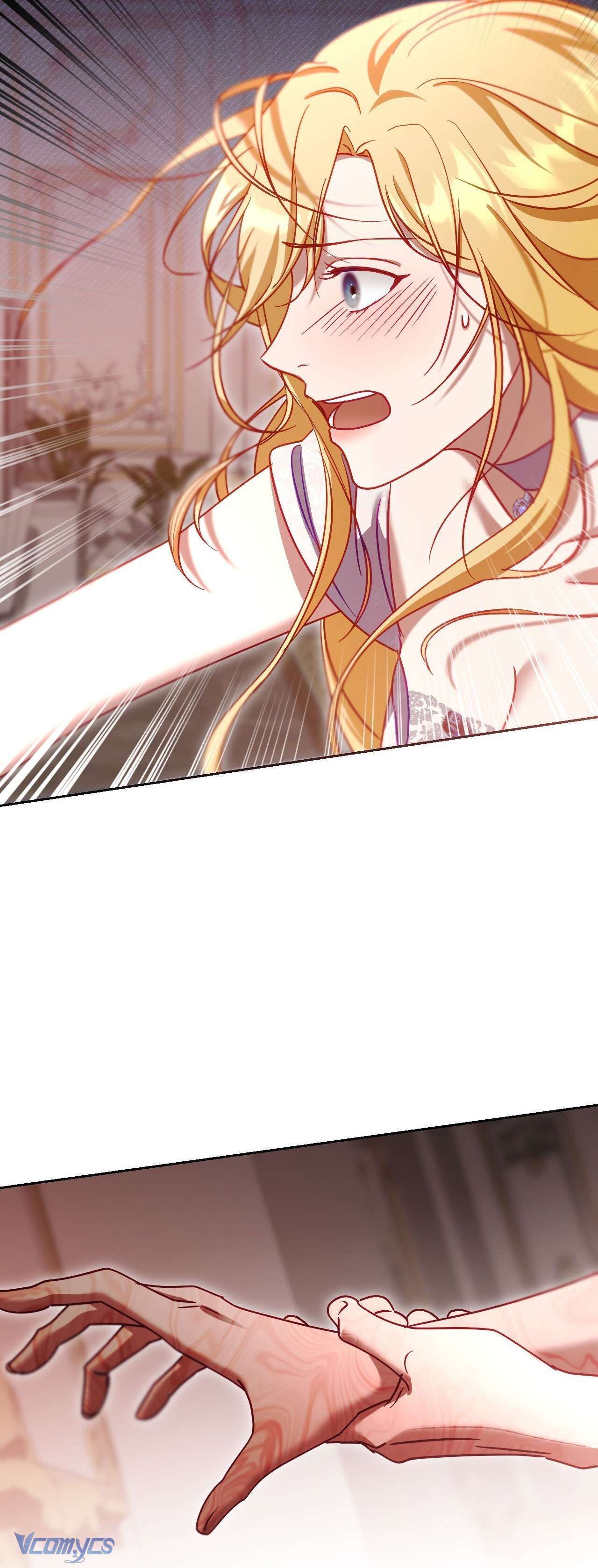 Thánh Nữ Giả Muốn Bỏ Trốn Chap 40 - Trang 4