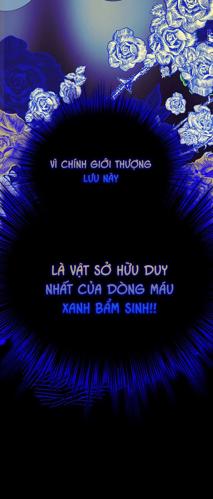 May Mắn Hay Bất Hạnh Chap 62 - Trang 4