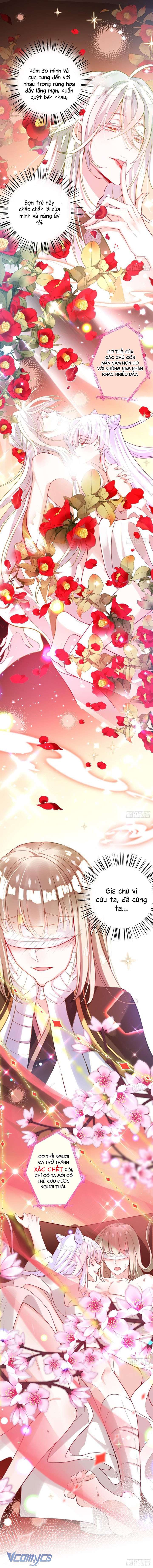 Ba Ngàn Sủng Của Hải Vương Nãi Nãi Chap 2 - Trang 2