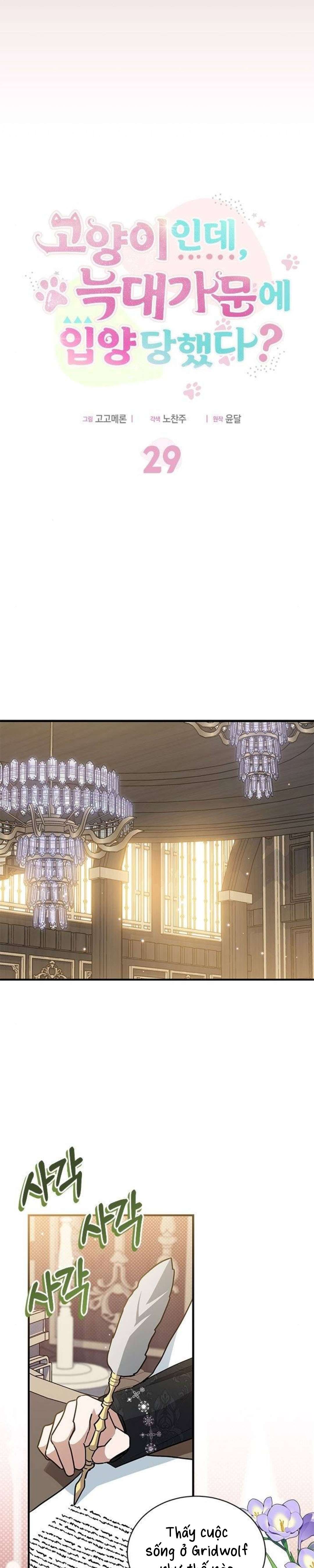 Mèo con được gia tộc sói nhận nuôi? Chapter 29 - Trang 3