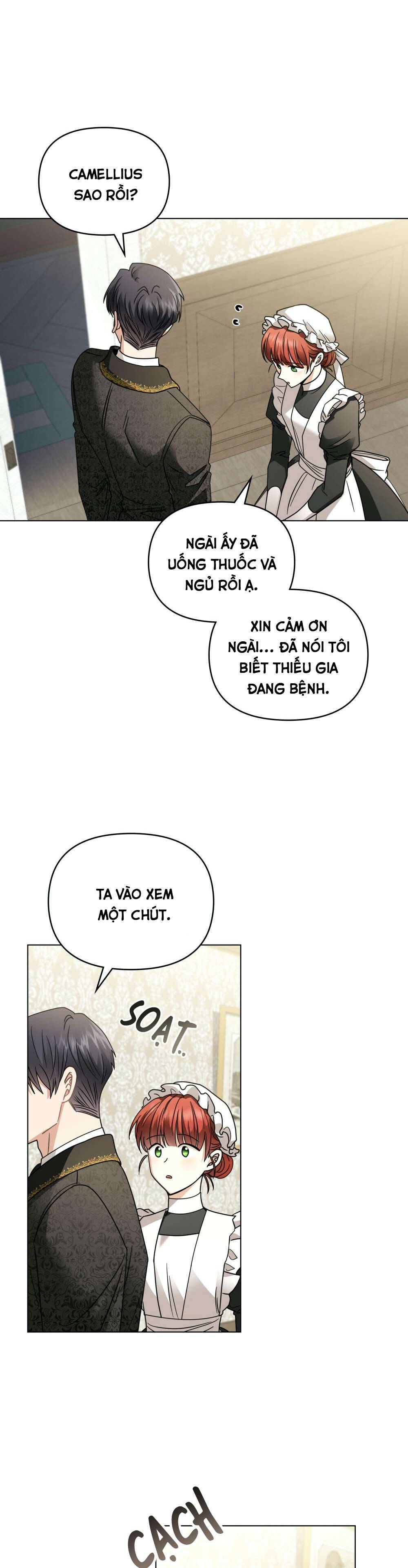 Tìm Lại Camellia Chapter 65 - Trang 4