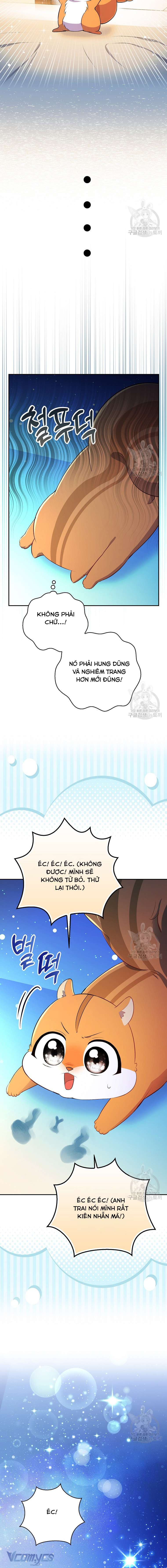 Sóc Con Tài Năng Chap 61 - Next Chap 62