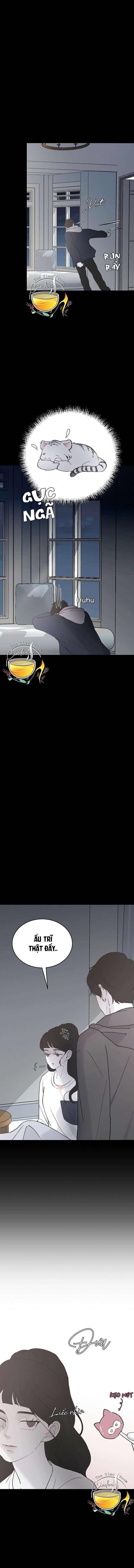 Ba Anh Trai Cực Phẩm Của Tôi Chap 32 - Trang 3